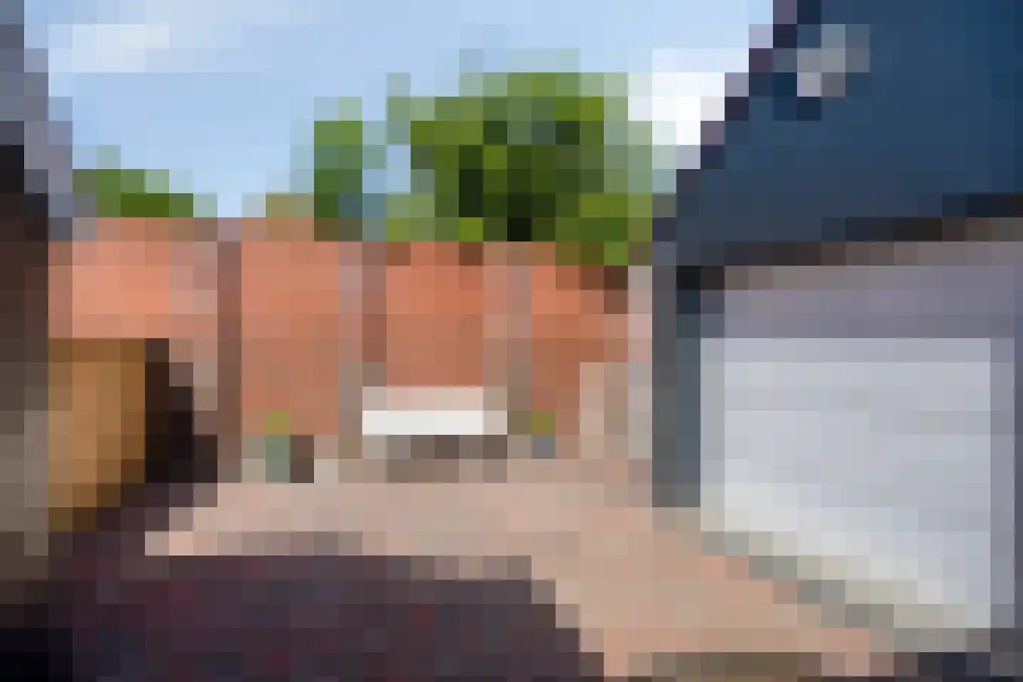 Scholthuizen 8 Veendam thumbnail 31