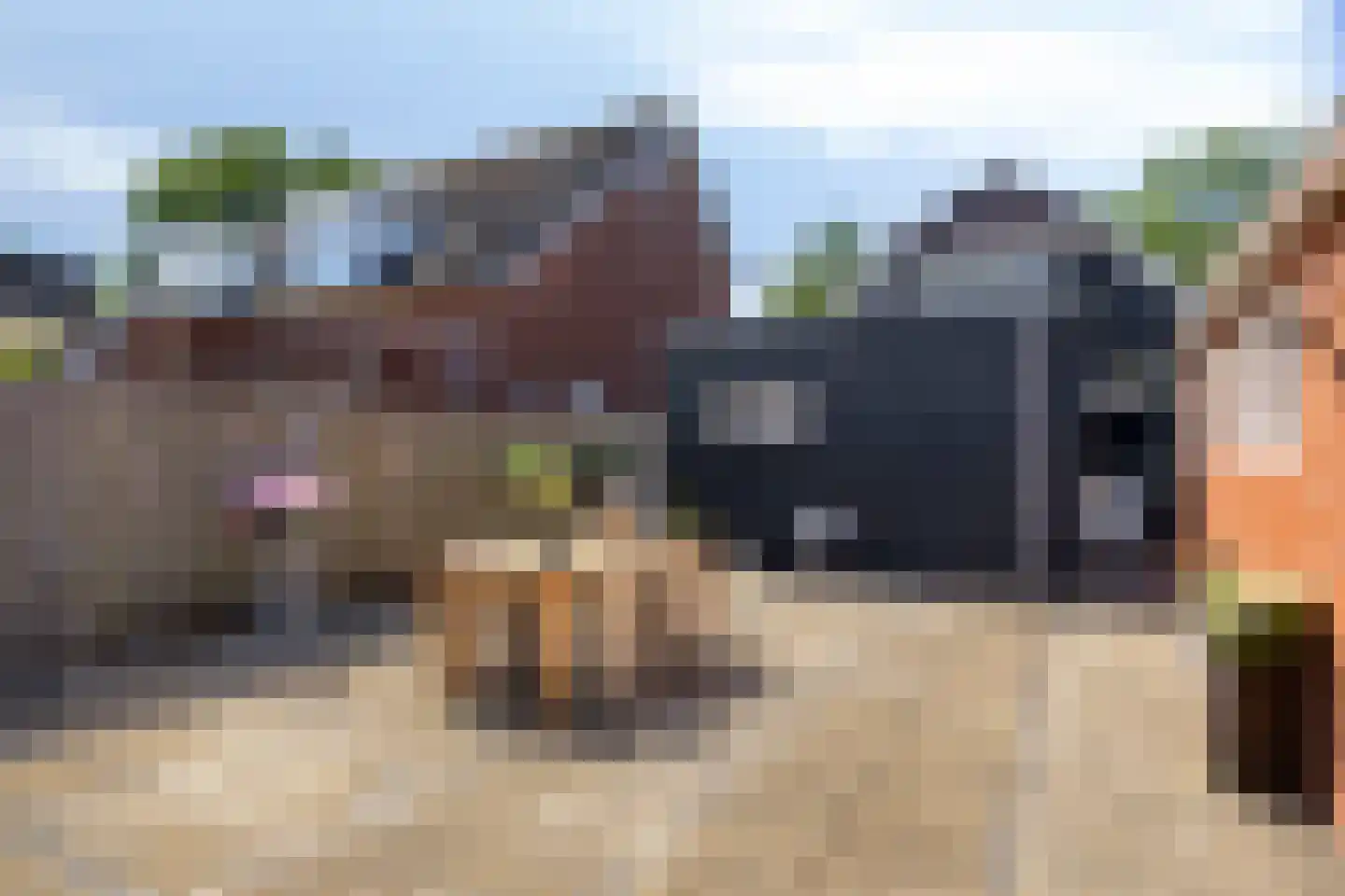 Scholthuizen 8 Veendam thumbnail 36