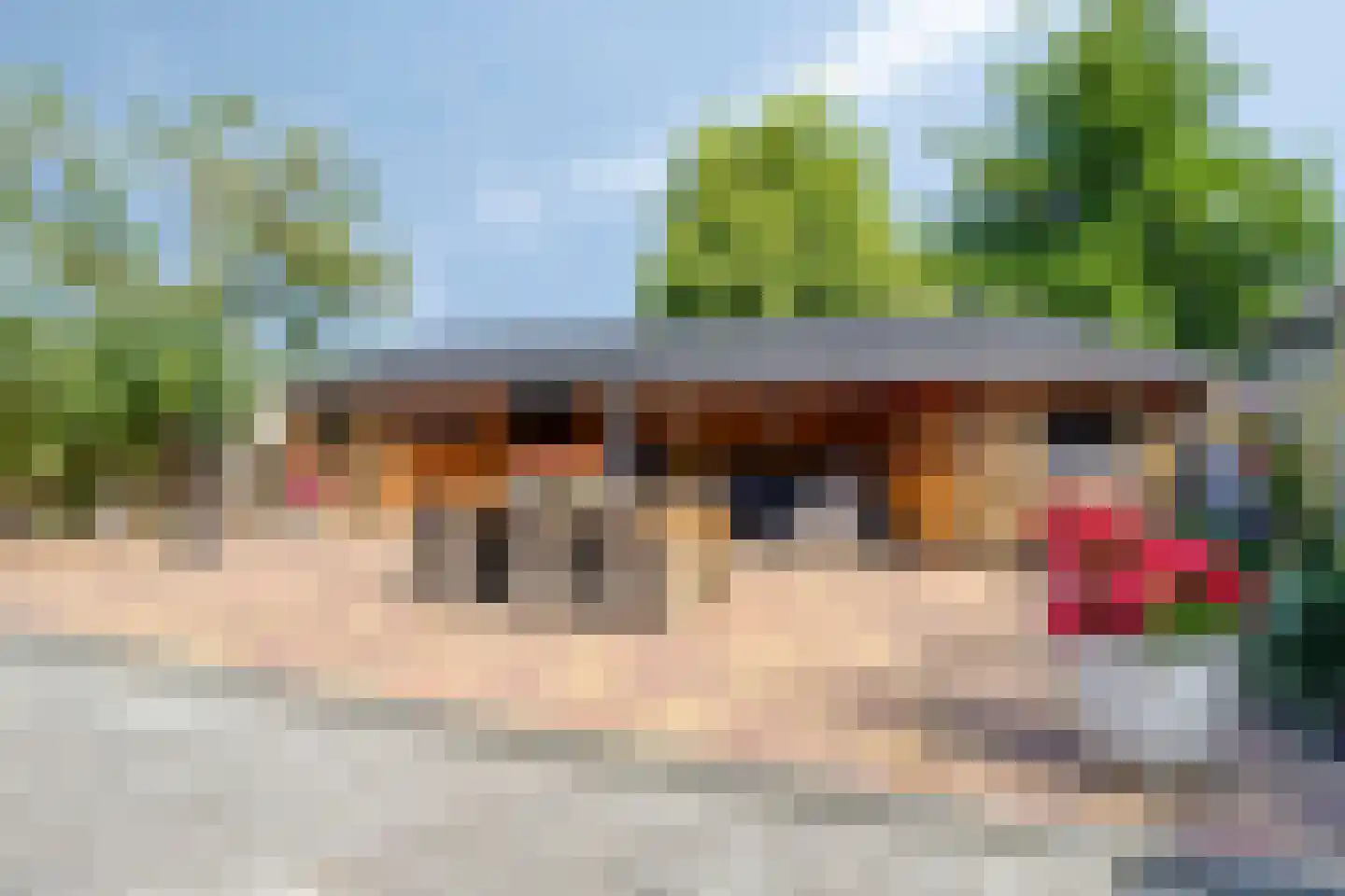 Scholthuizen 8 Veendam thumbnail 39