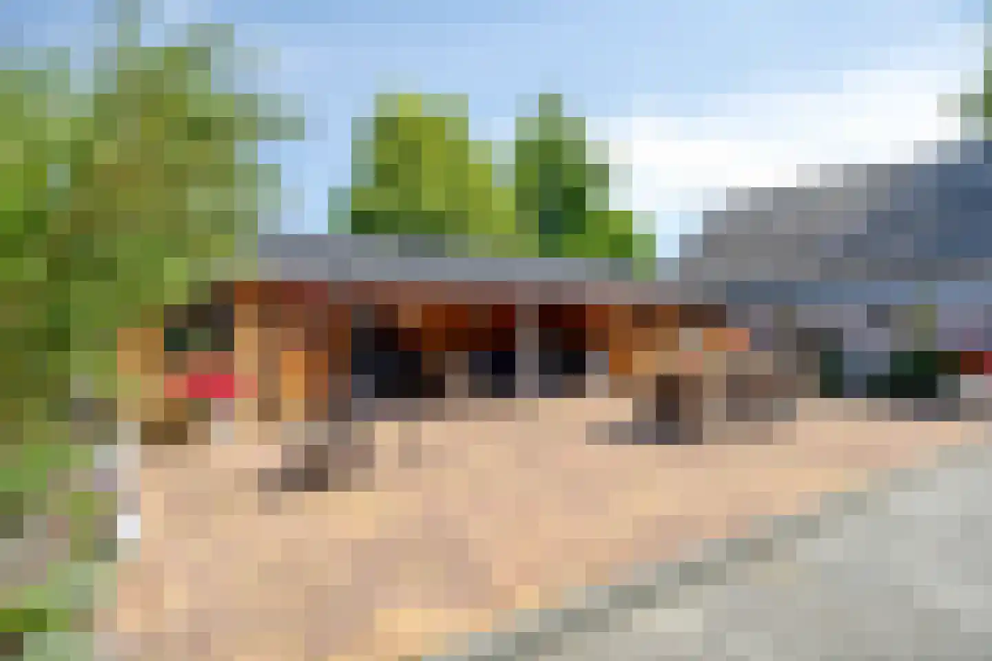 Scholthuizen 8 Veendam thumbnail 40