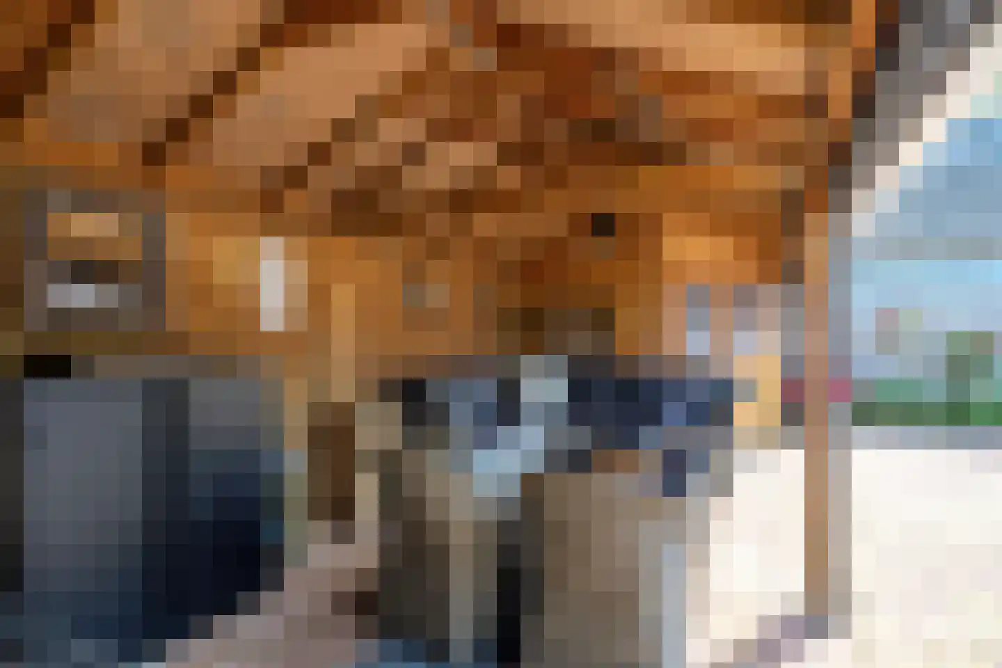 Scholthuizen 8 Veendam thumbnail 42