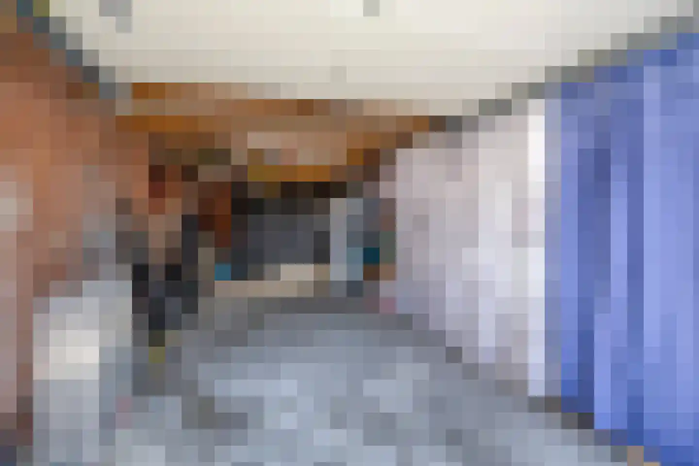 Scholthuizen 8 Veendam thumbnail 46