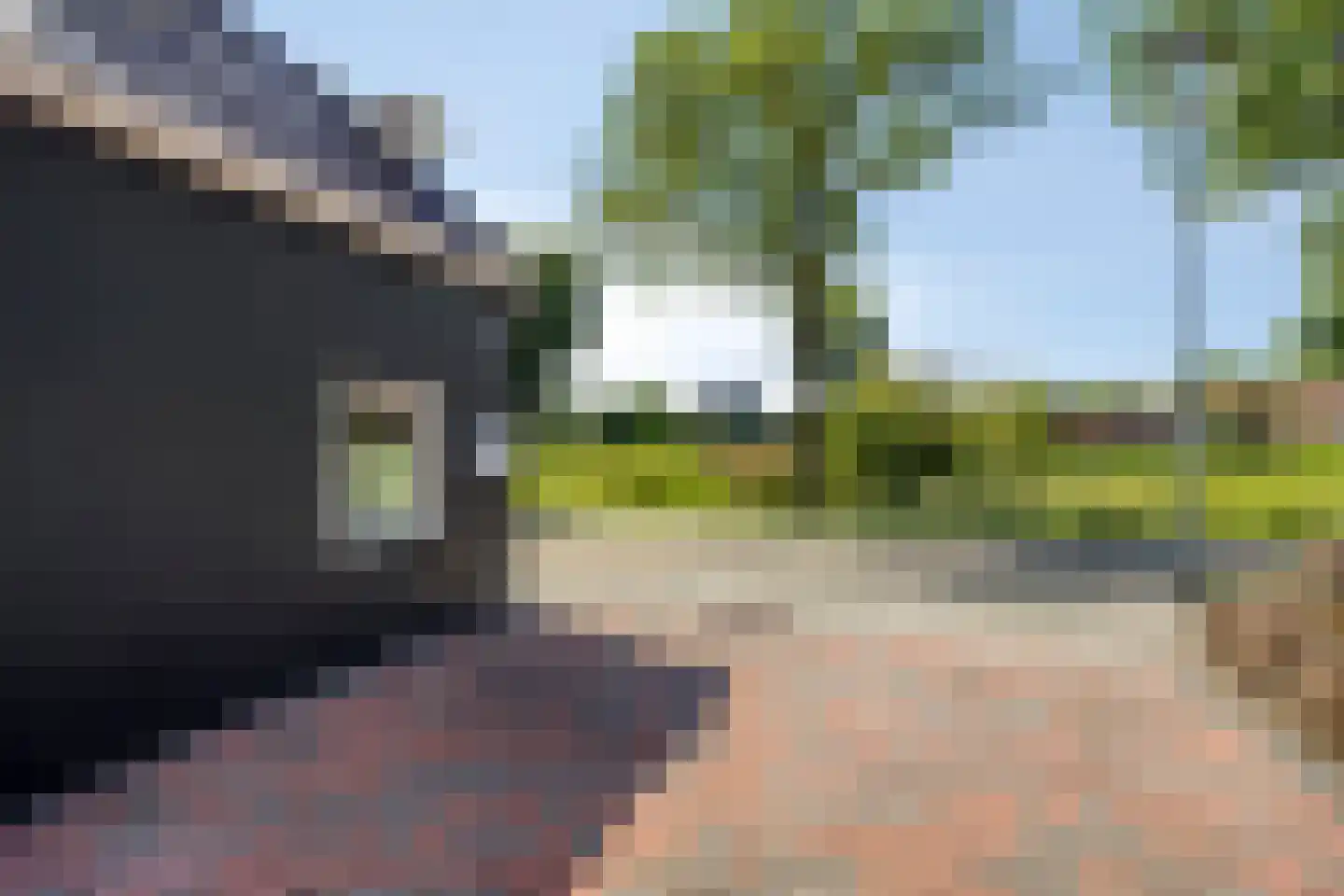 Scholthuizen 8 Veendam thumbnail 7
