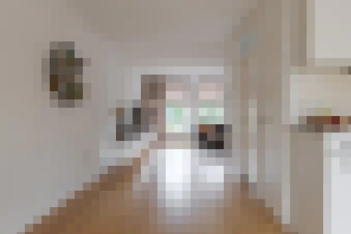 Scholtieskamp 10 Ruinerwold thumbnail 10