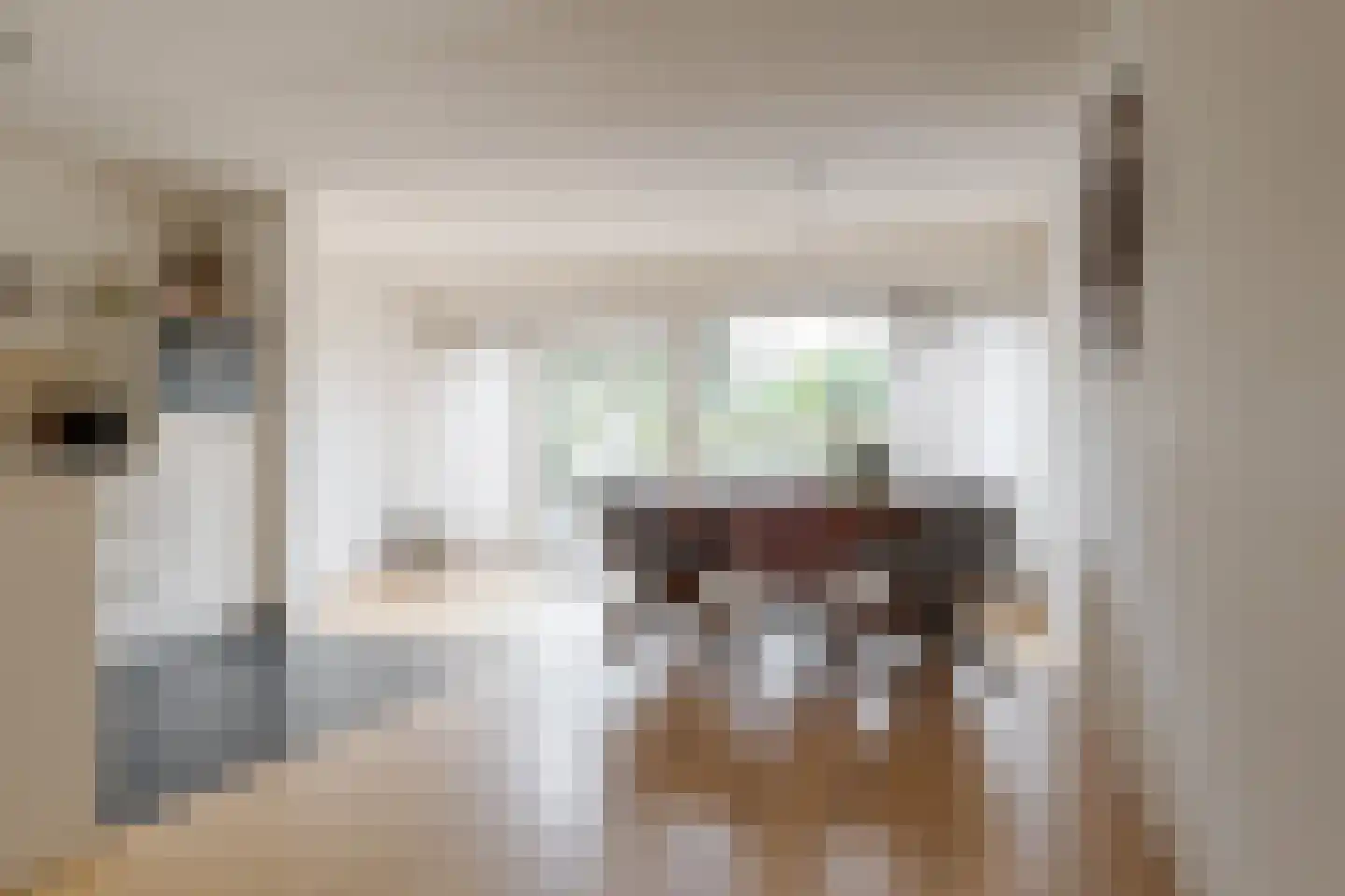 Scholtieskamp 10 Ruinerwold thumbnail 11