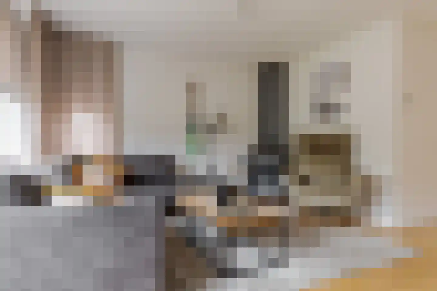Scholtieskamp 10 Ruinerwold thumbnail 12