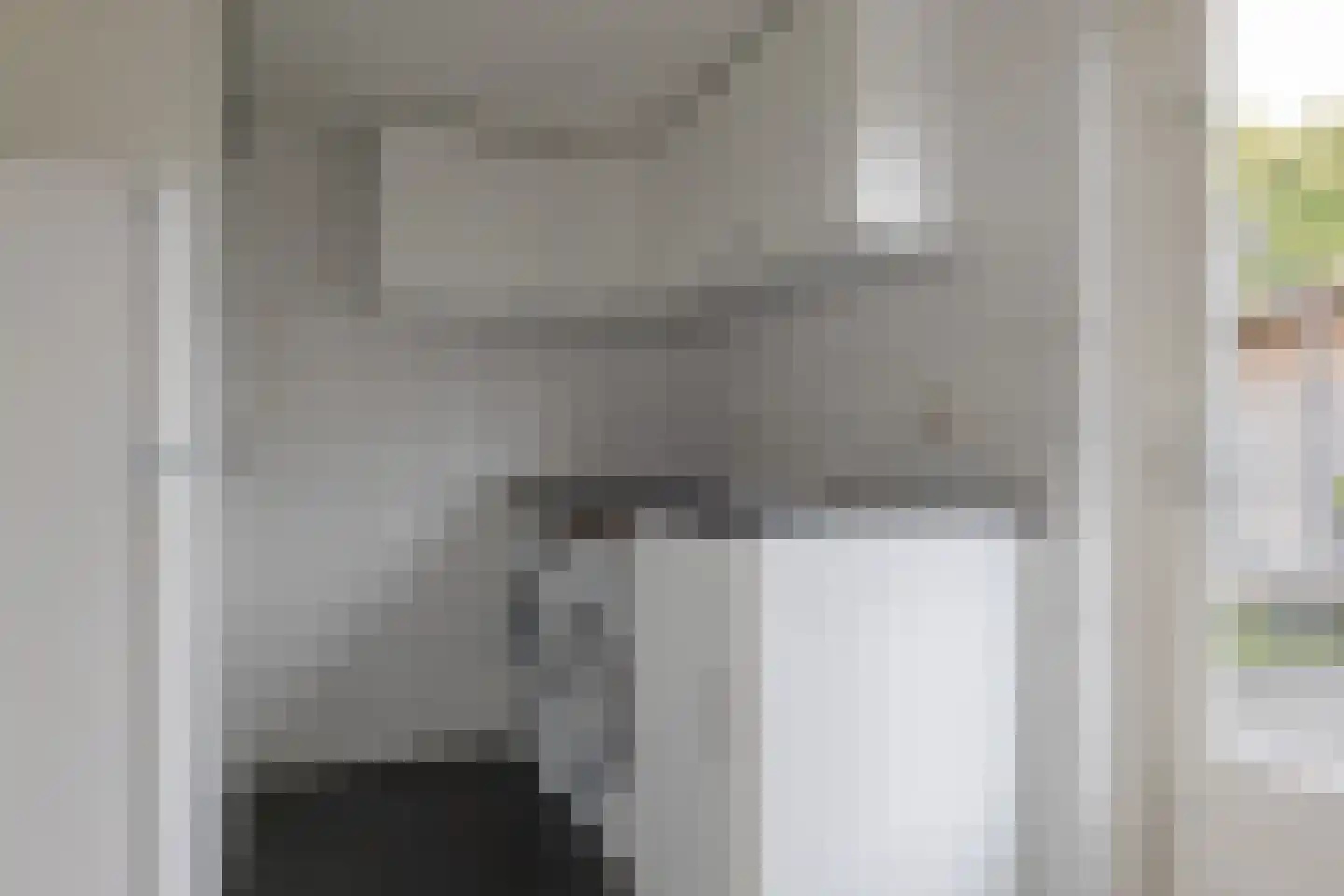 Scholtieskamp 10 Ruinerwold thumbnail 14