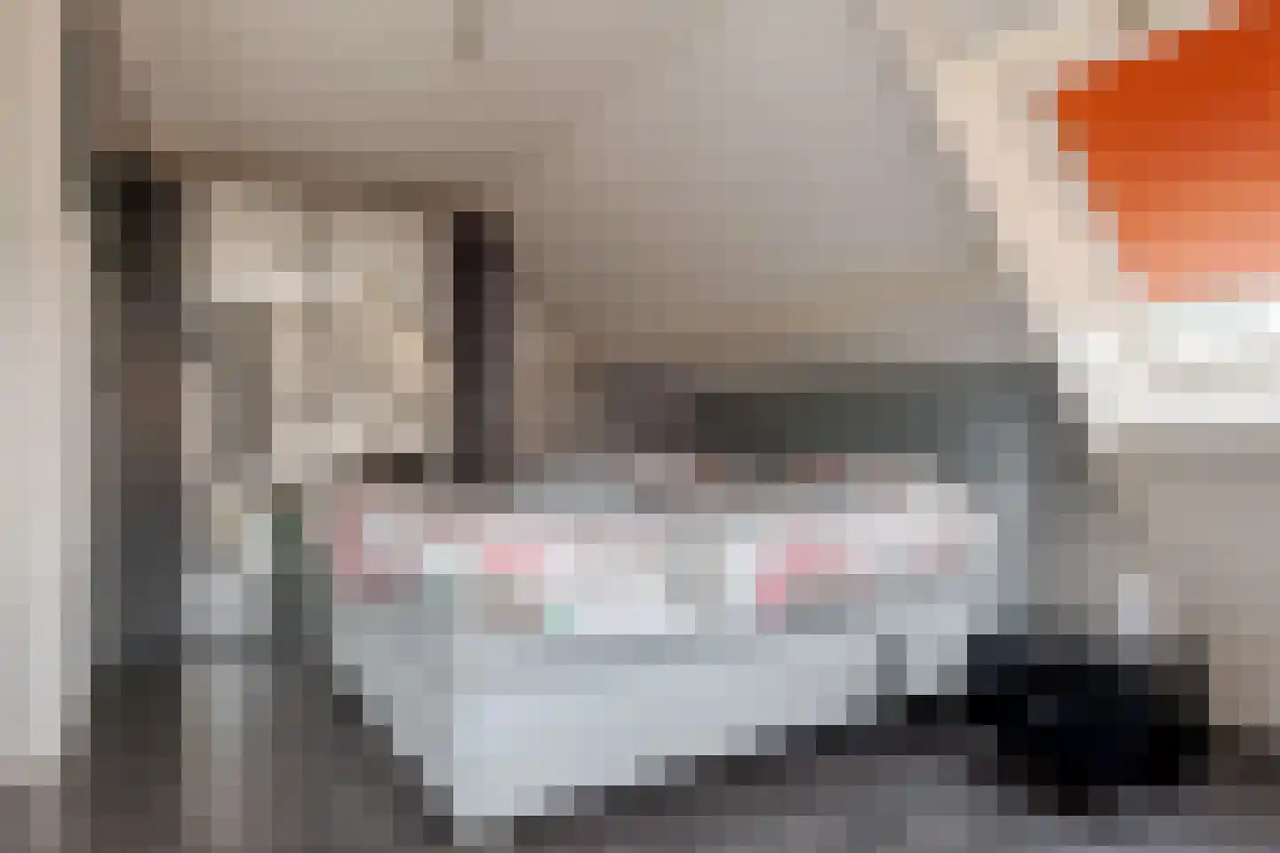 Scholtieskamp 10 Ruinerwold thumbnail 21