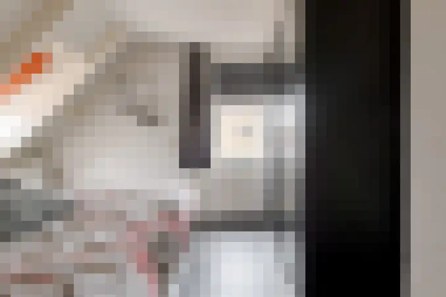 Scholtieskamp 10 Ruinerwold thumbnail 22