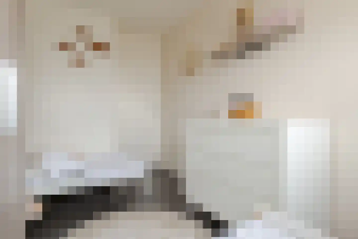 Scholtieskamp 10 Ruinerwold thumbnail 26