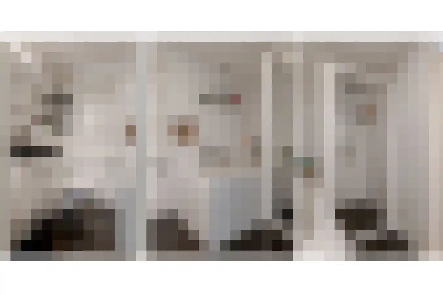 Scholtieskamp 10 Ruinerwold thumbnail 27
