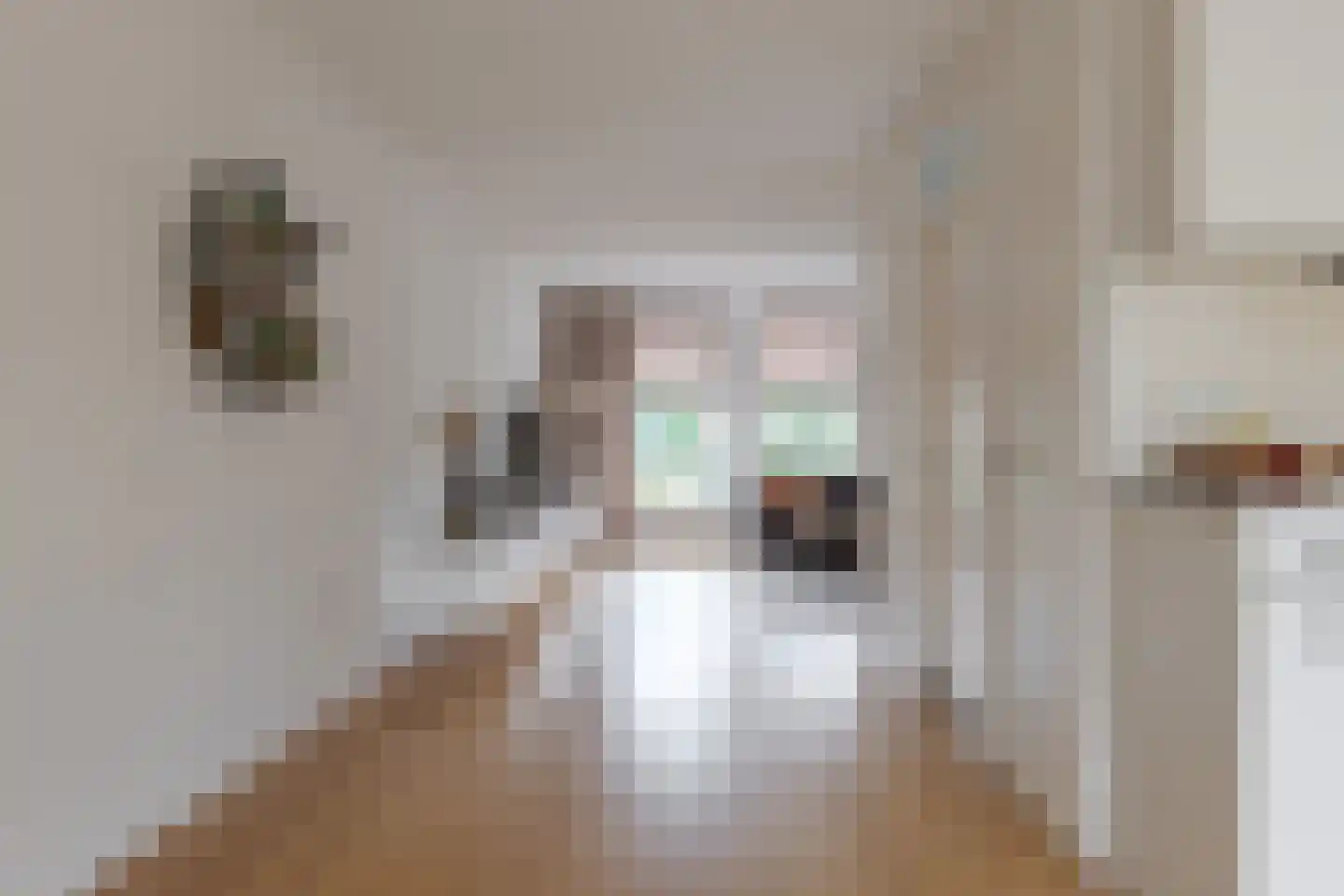 Scholtieskamp 10 Ruinerwold thumbnail 7