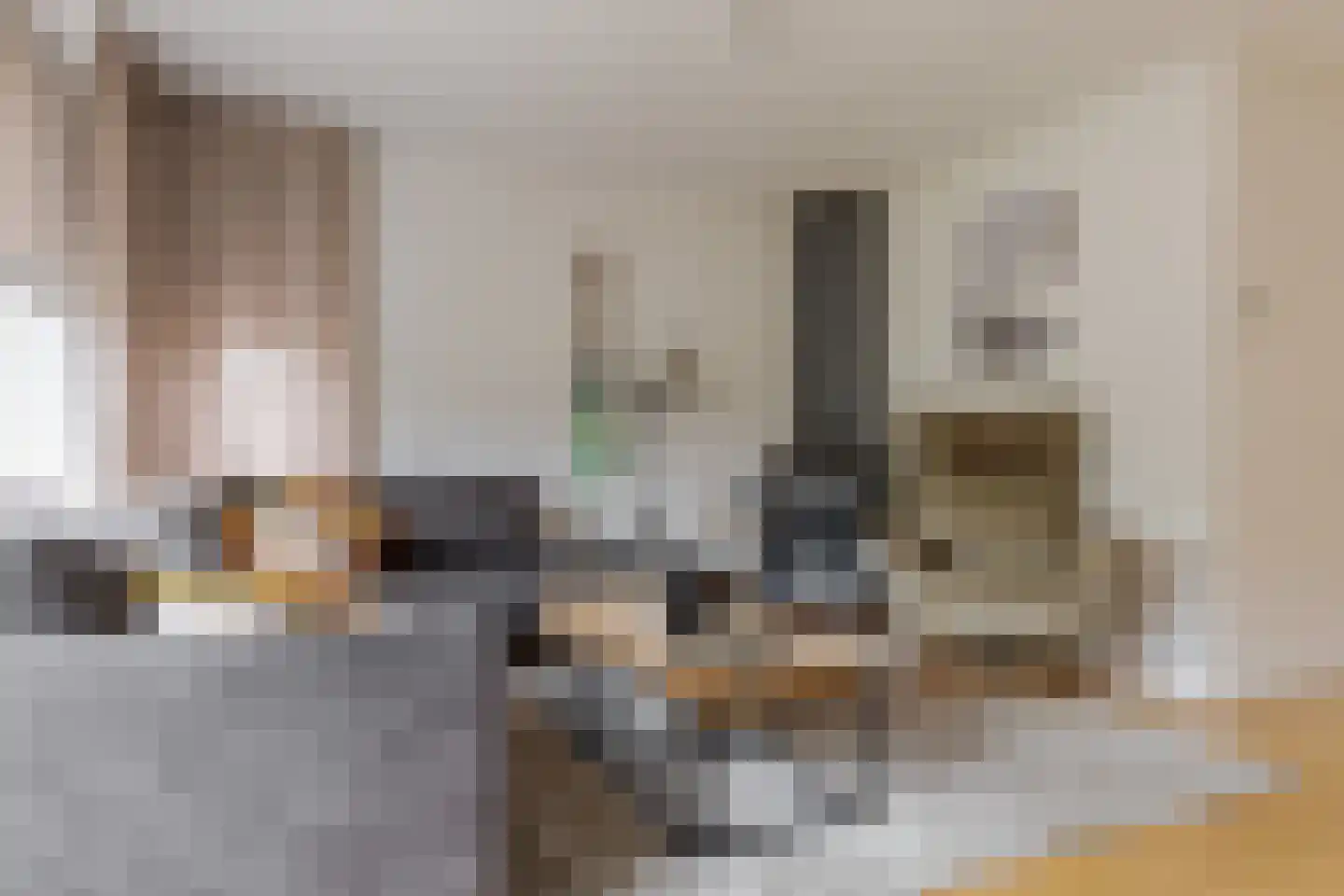 Scholtieskamp 10 Ruinerwold thumbnail 9