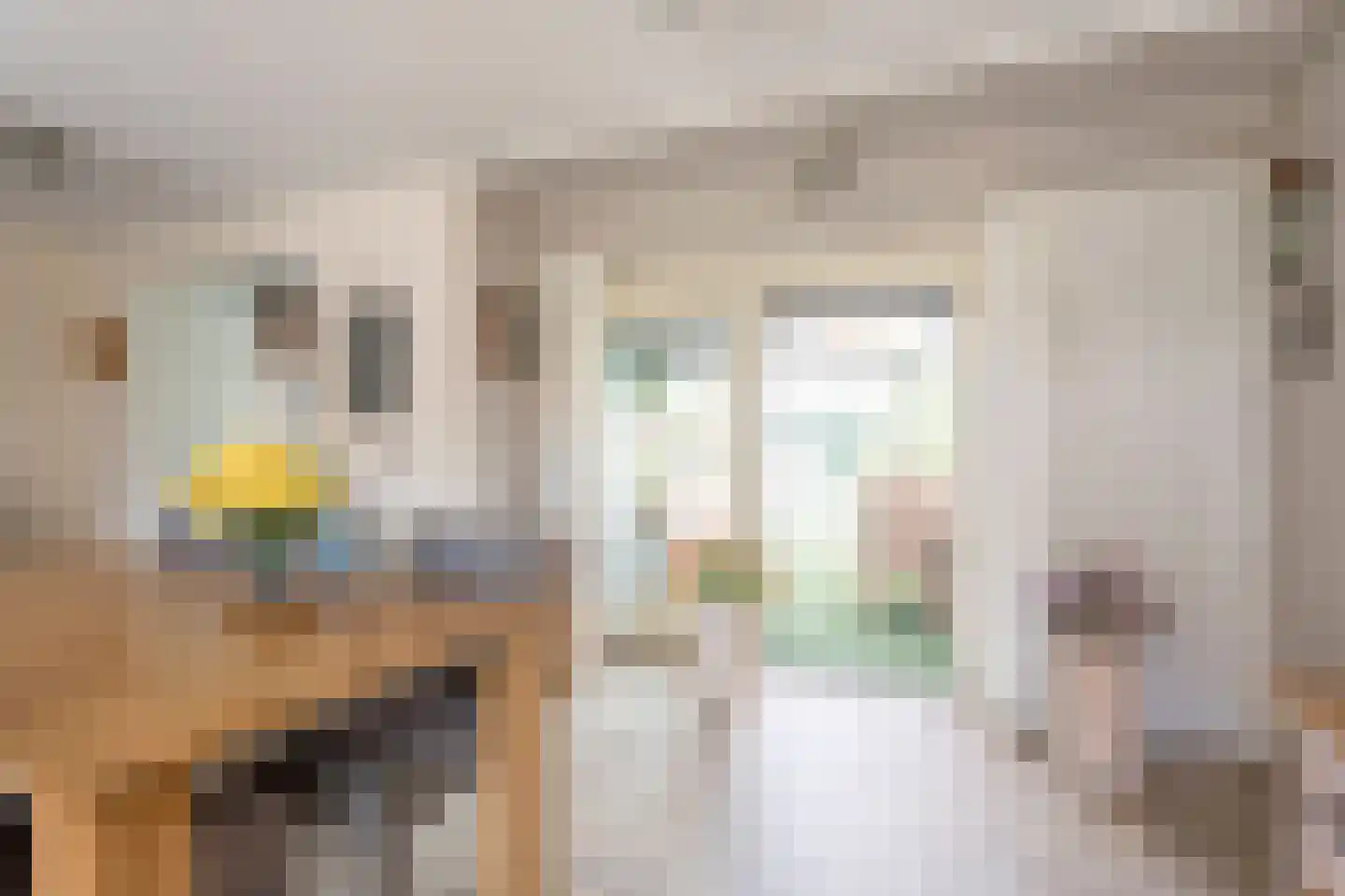 Scholtieskamp 14 Ruinerwold thumbnail 11