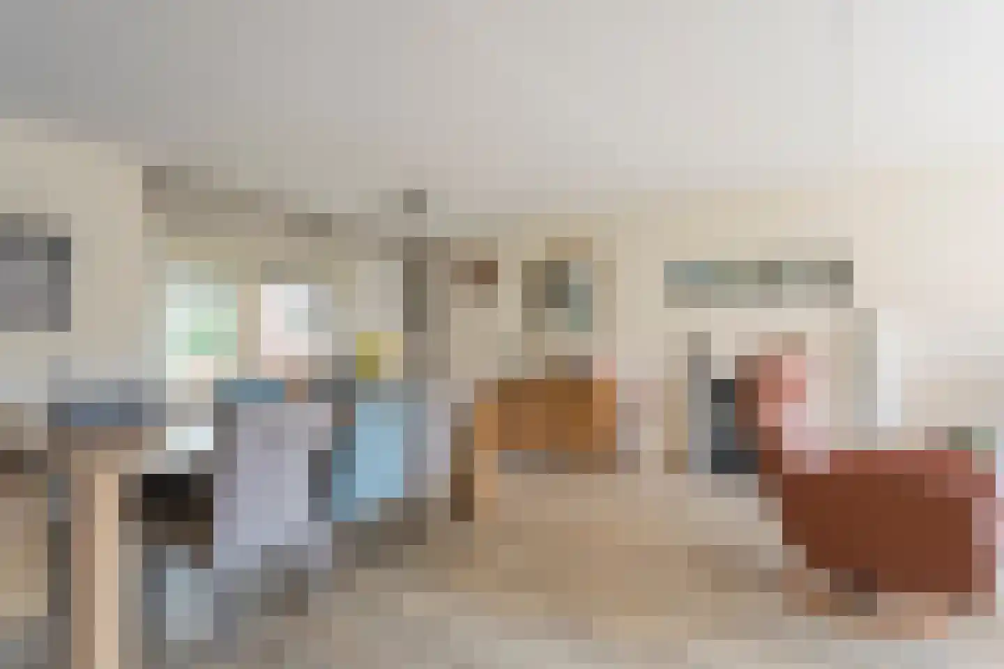 Scholtieskamp 14 Ruinerwold thumbnail 12
