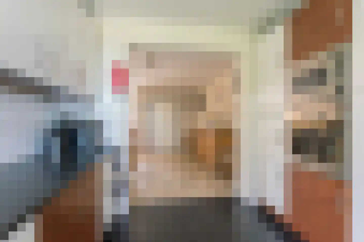 Scholtieskamp 14 Ruinerwold thumbnail 17