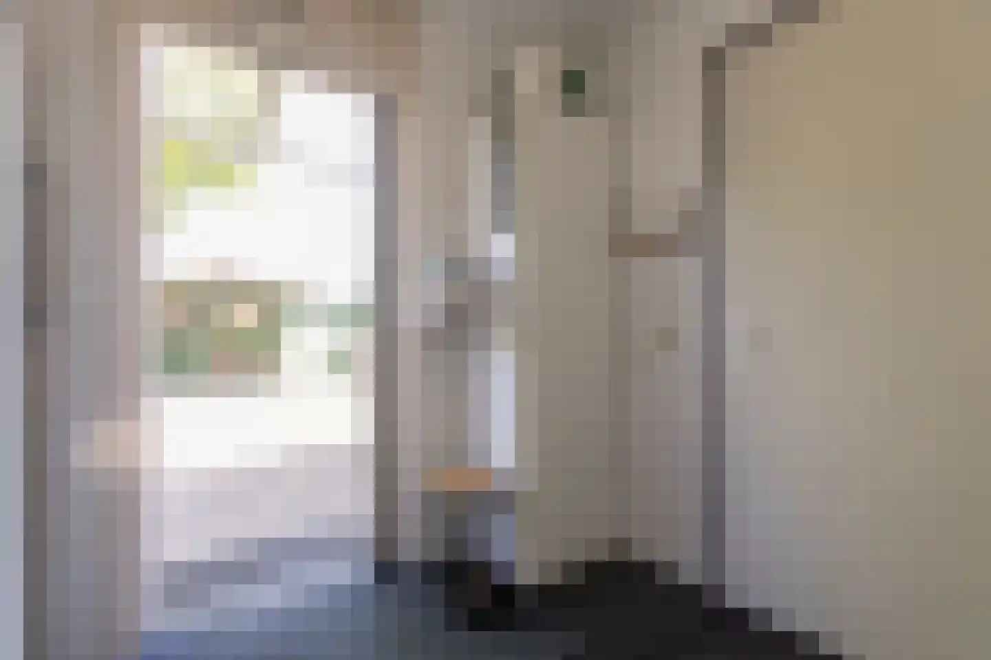 Scholtieskamp 14 Ruinerwold thumbnail 20