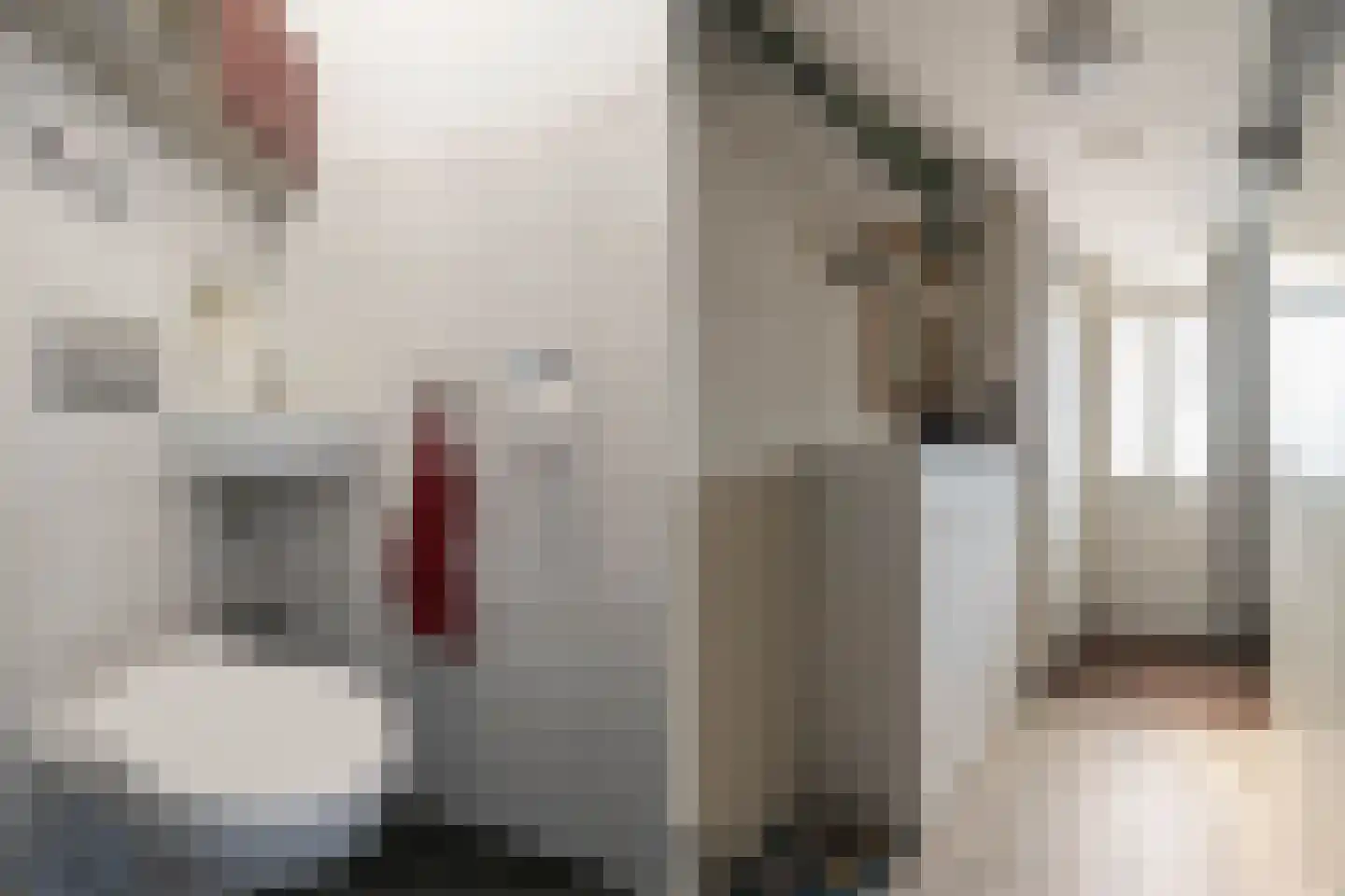 Scholtieskamp 14 Ruinerwold thumbnail 22