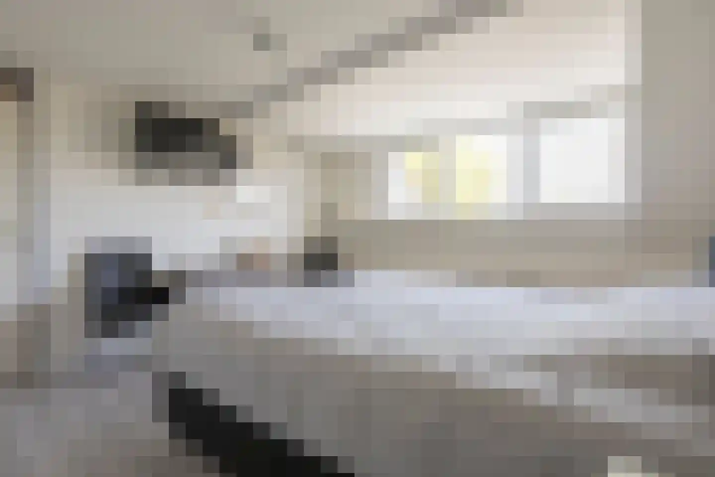 Scholtieskamp 14 Ruinerwold thumbnail 24