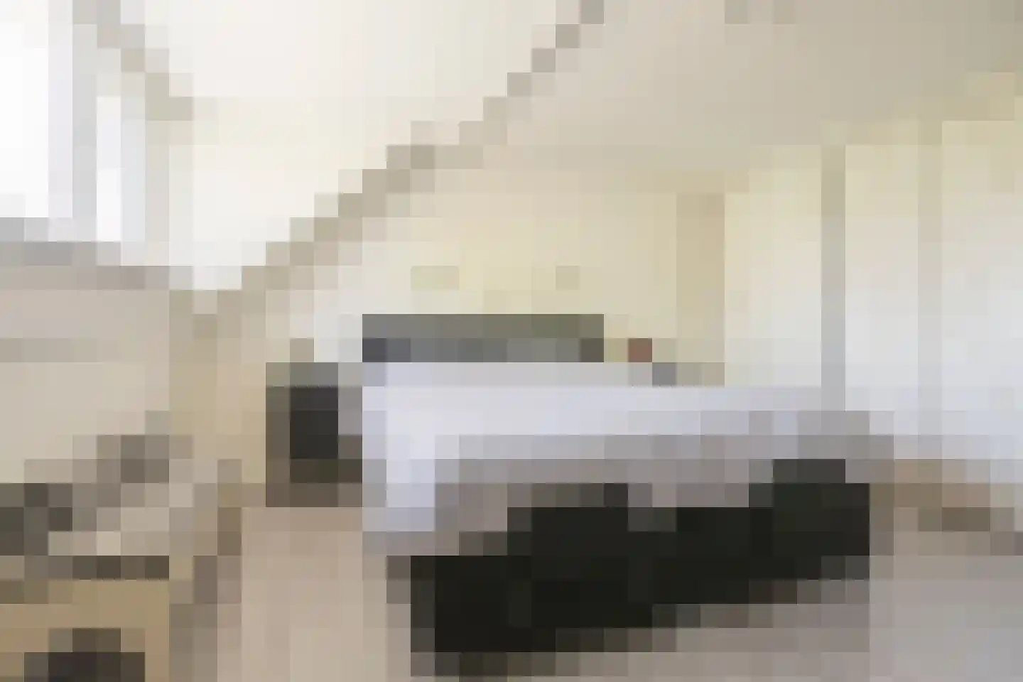 Scholtieskamp 14 Ruinerwold thumbnail 25