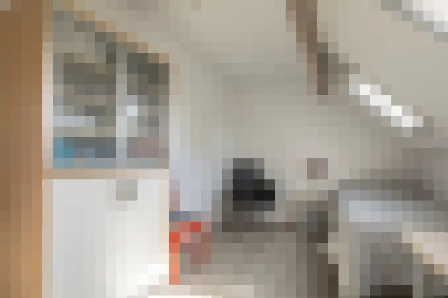 Scholtieskamp 14 Ruinerwold thumbnail 30