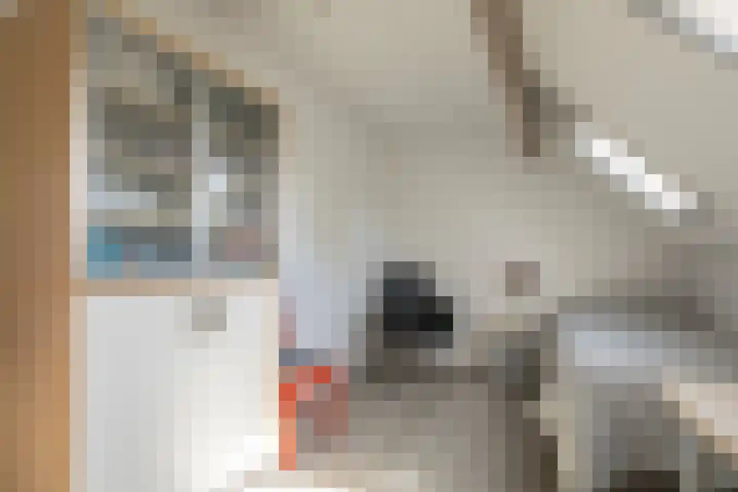 Scholtieskamp 14 Ruinerwold thumbnail 33
