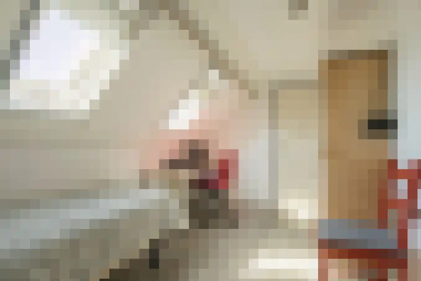 Scholtieskamp 14 Ruinerwold thumbnail 34