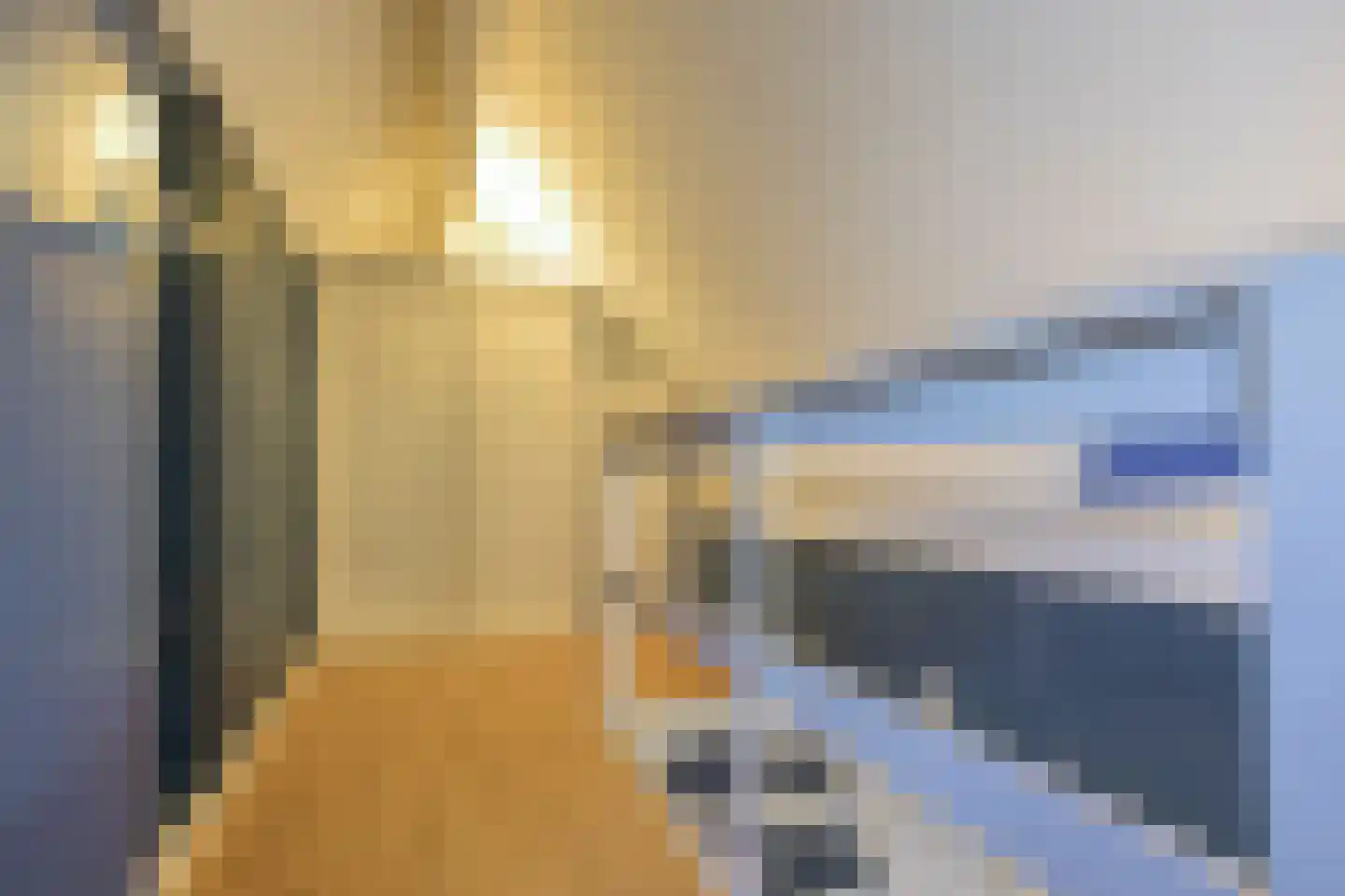Scholtieskamp 14 Ruinerwold thumbnail 39