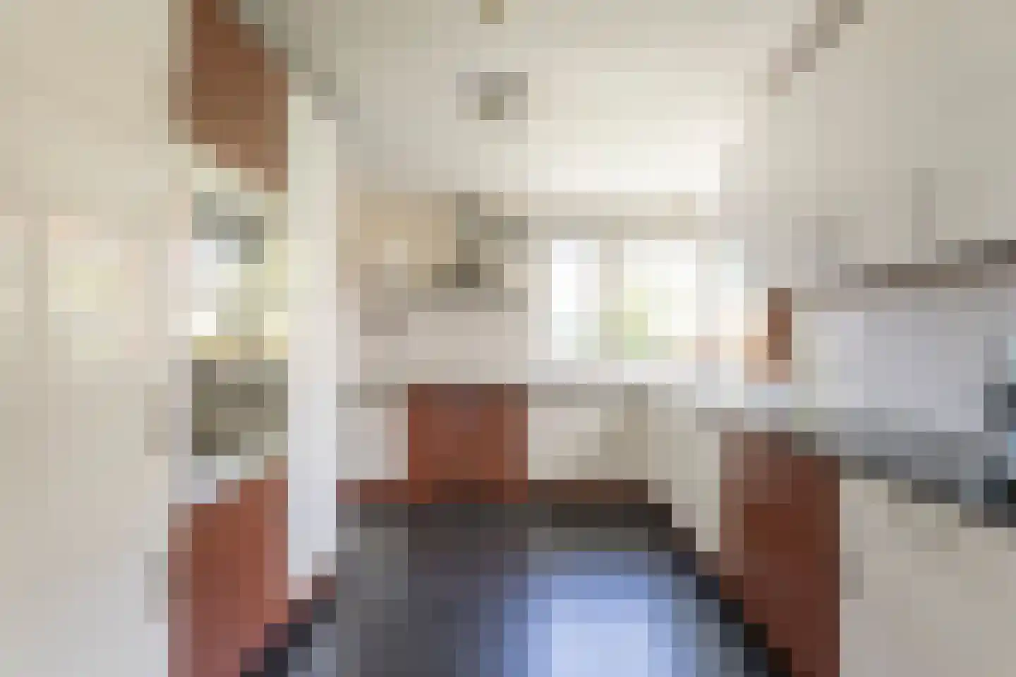 Scholtieskamp 14 Ruinerwold thumbnail 4