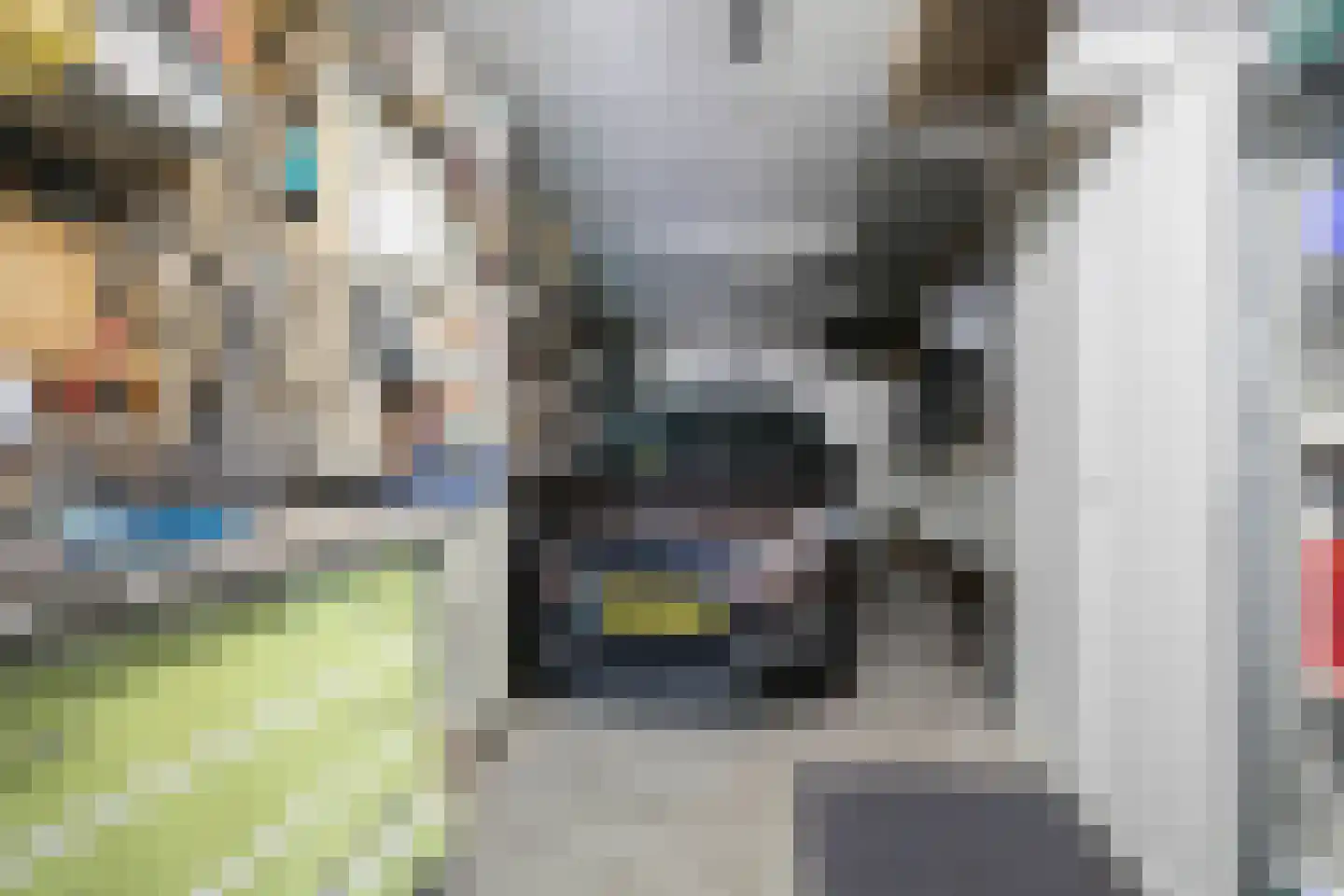 Scholtieskamp 14 Ruinerwold thumbnail 42