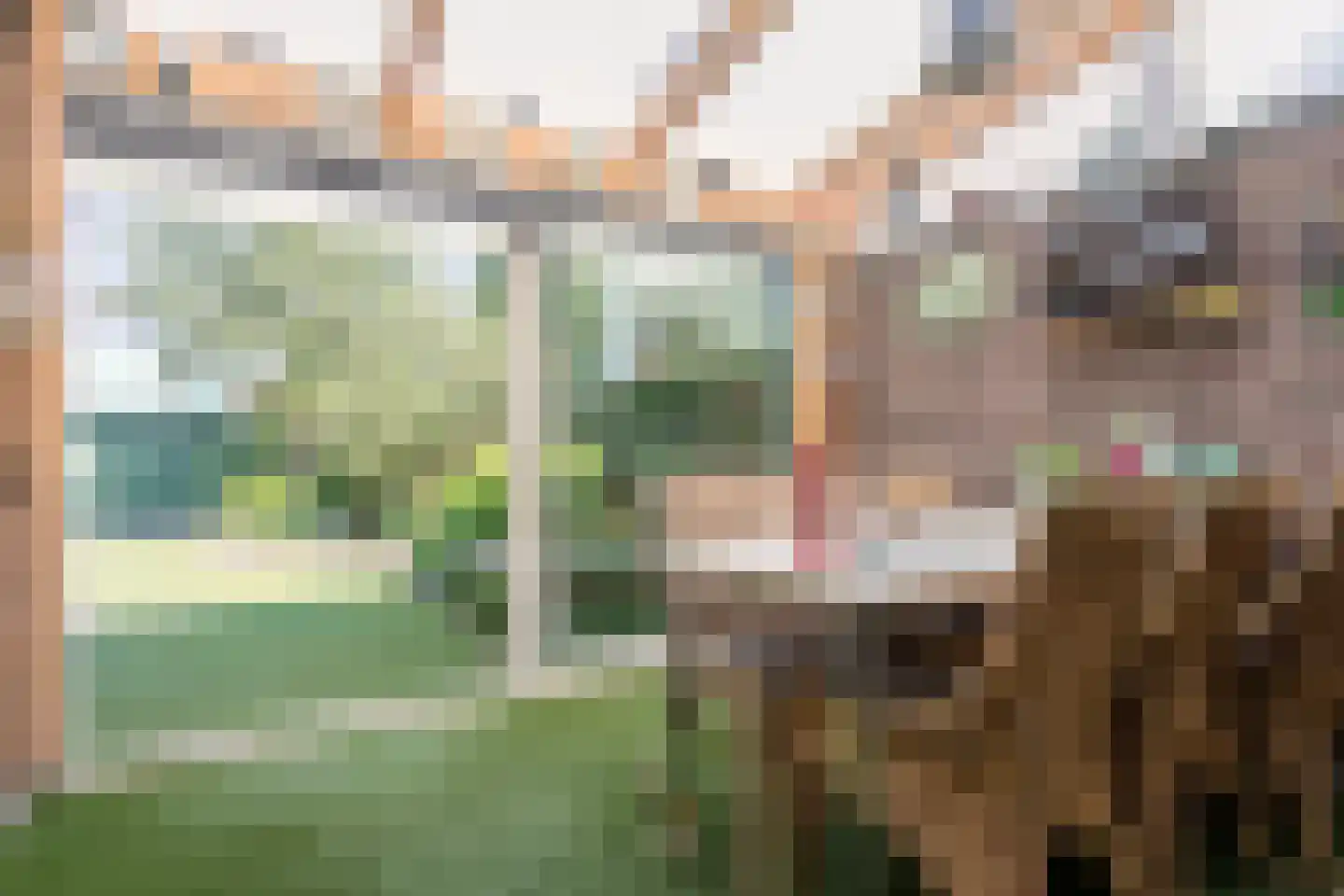 Scholtieskamp 14 Ruinerwold thumbnail 46