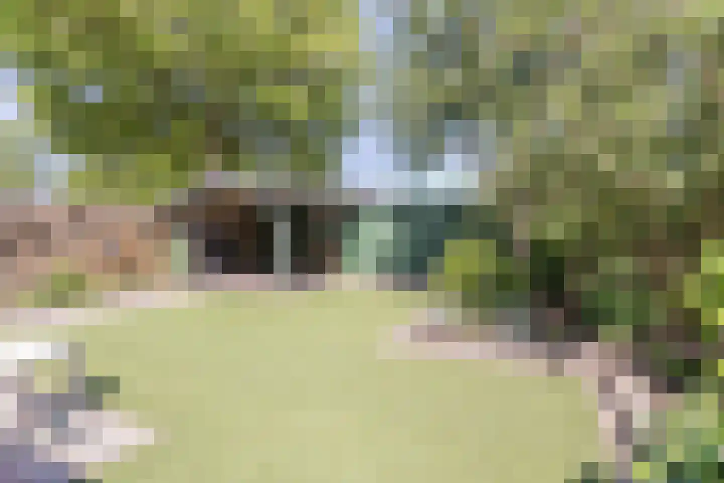 Scholtieskamp 14 Ruinerwold thumbnail 47