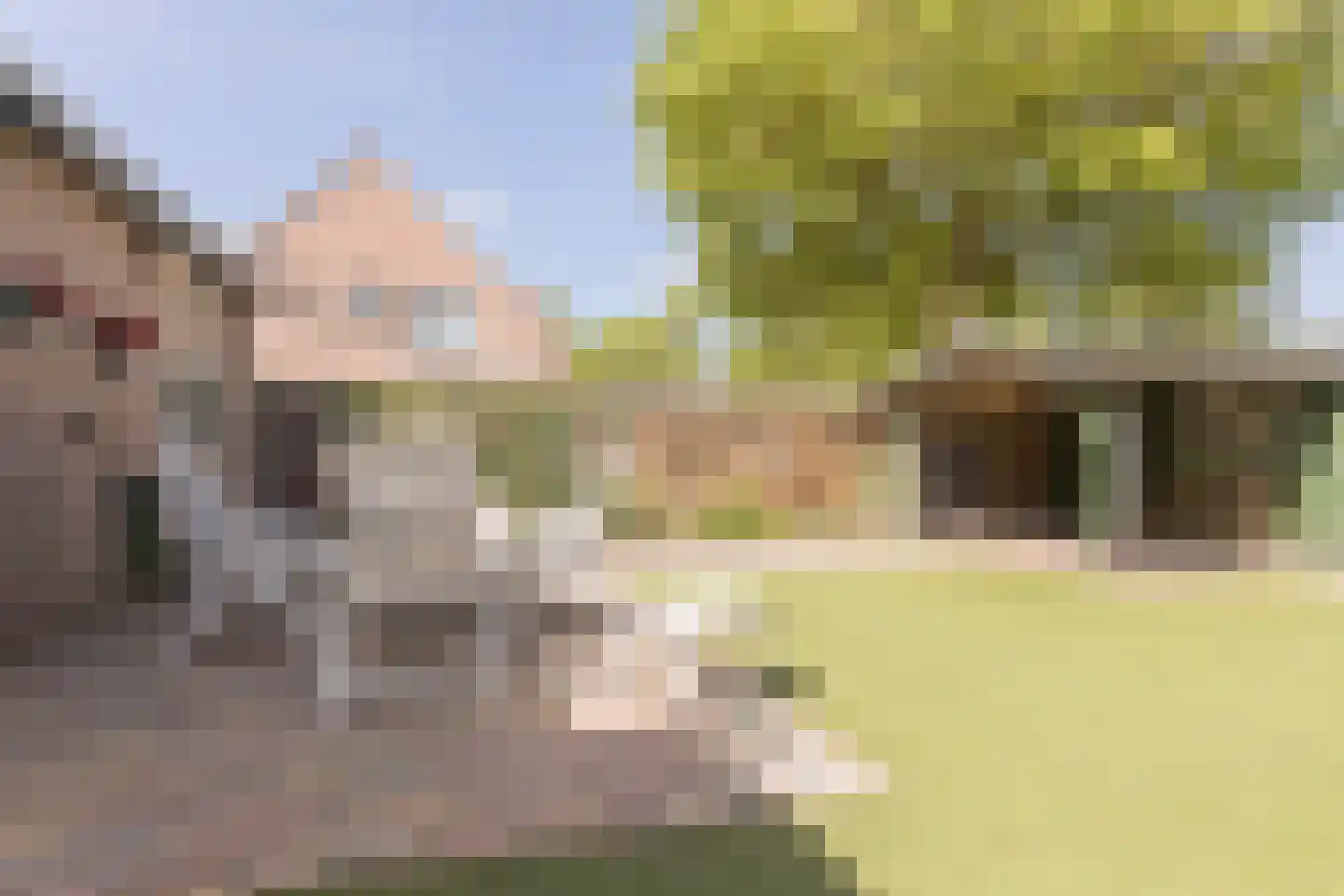 Scholtieskamp 14 Ruinerwold thumbnail 48