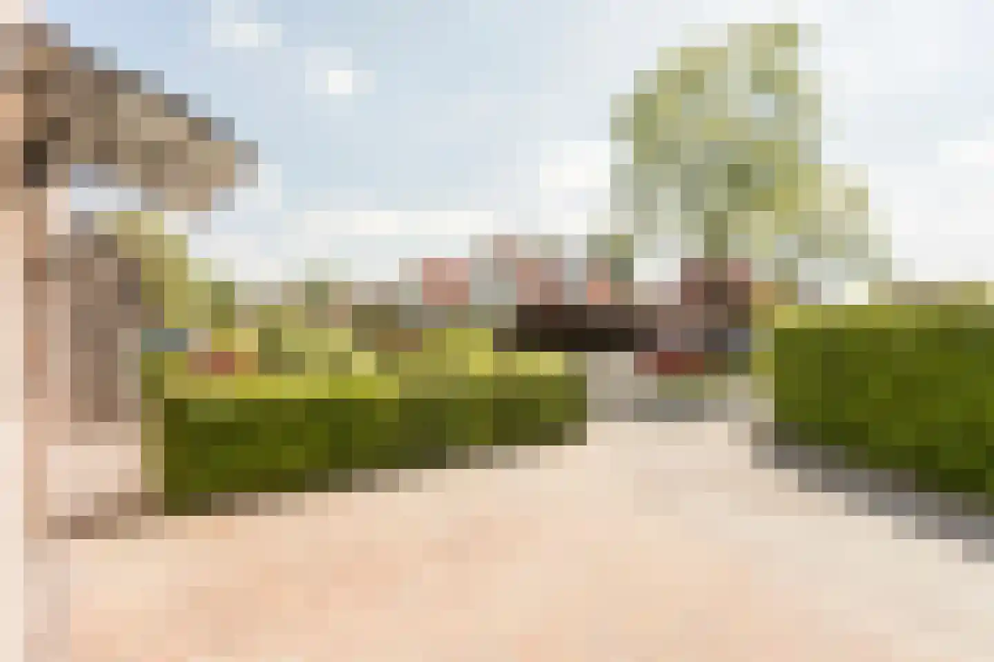 Scholtieskamp 14 Ruinerwold thumbnail 53