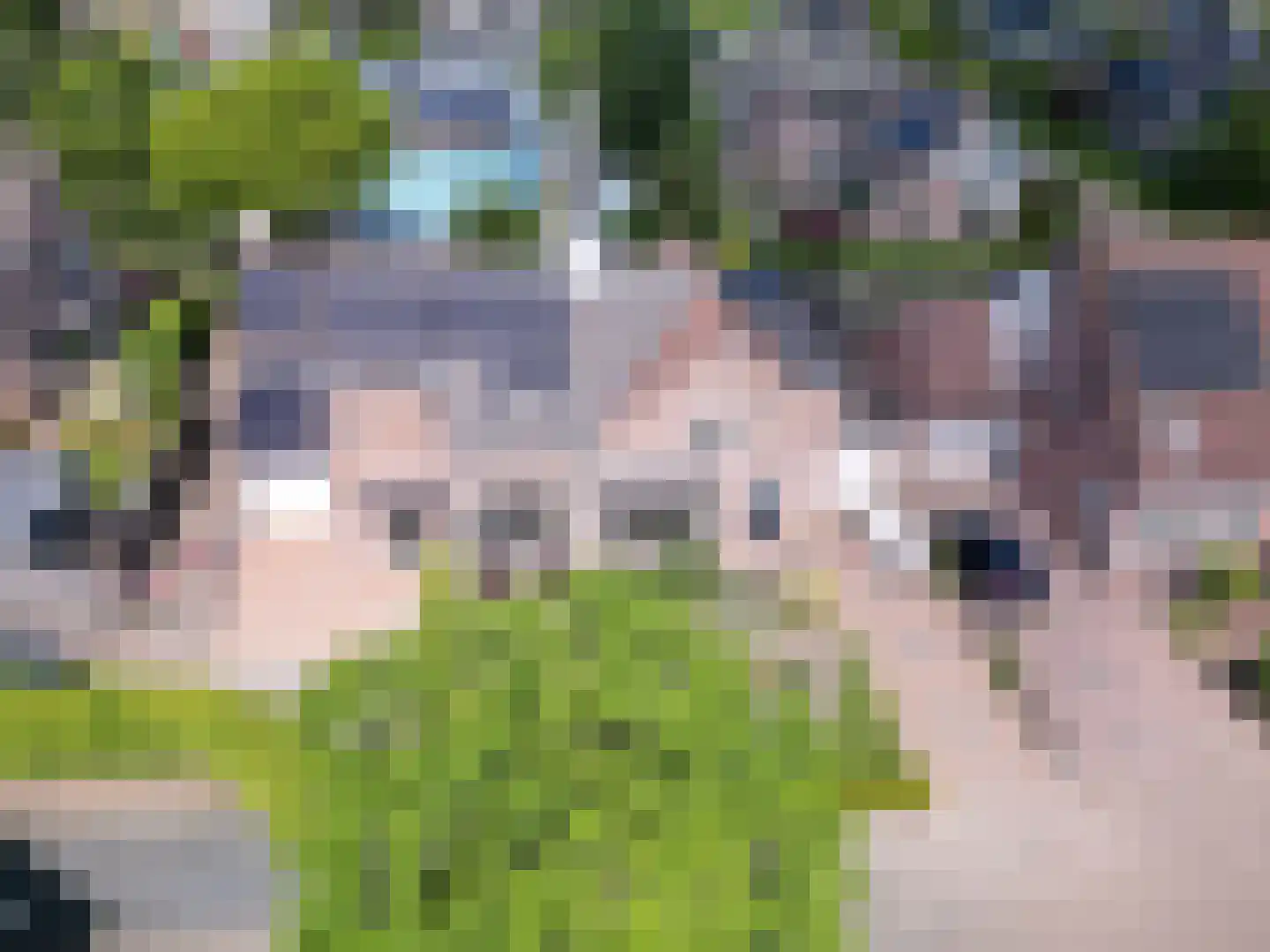 Scholtieskamp 14 Ruinerwold thumbnail 55