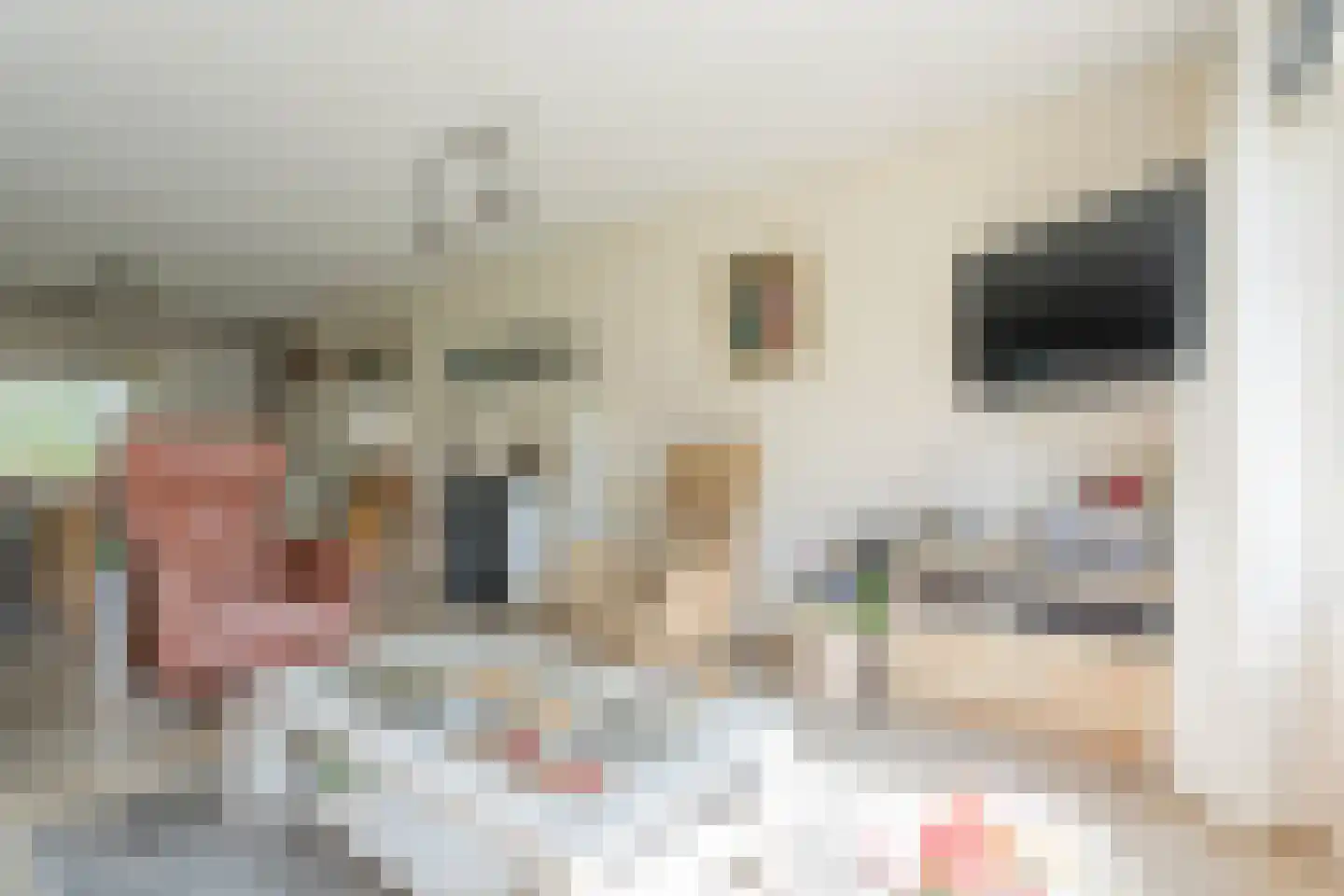 Scholtieskamp 14 Ruinerwold thumbnail 8