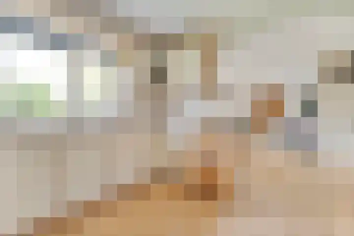 Scholtieskamp 7 Ruinerwold thumbnail 14