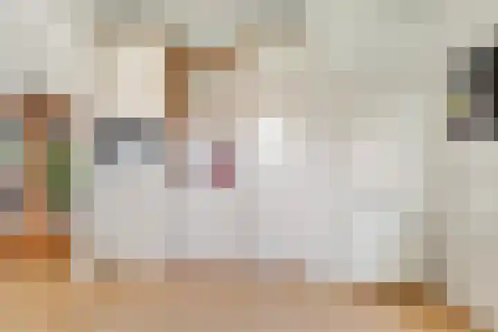 Scholtieskamp 7 Ruinerwold thumbnail 15