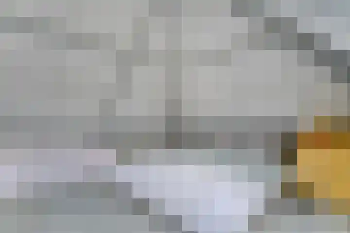 Scholtieskamp 7 Ruinerwold thumbnail 28