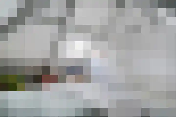 Scholtieskamp 7 Ruinerwold thumbnail 30