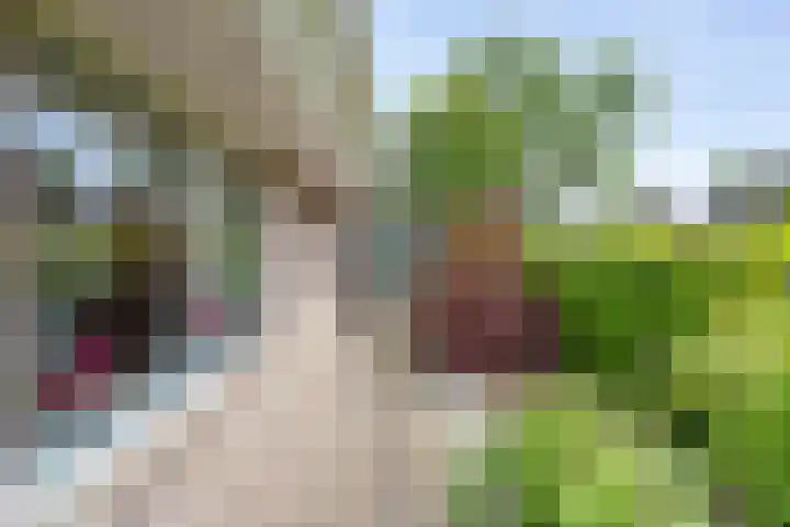 Scholtieskamp 7 Ruinerwold thumbnail 37