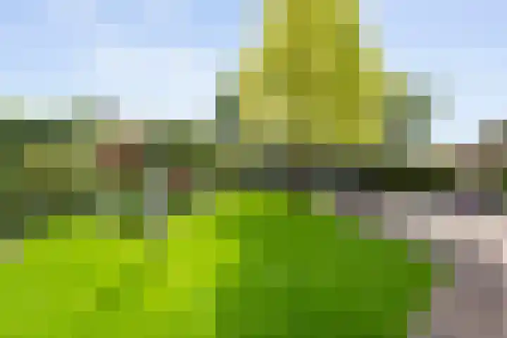 Scholtieskamp 7 Ruinerwold thumbnail 41