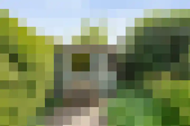 Scholtieskamp 7 Ruinerwold thumbnail 42