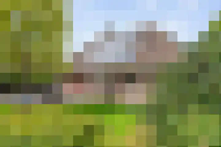 Scholtieskamp 7 Ruinerwold thumbnail 43
