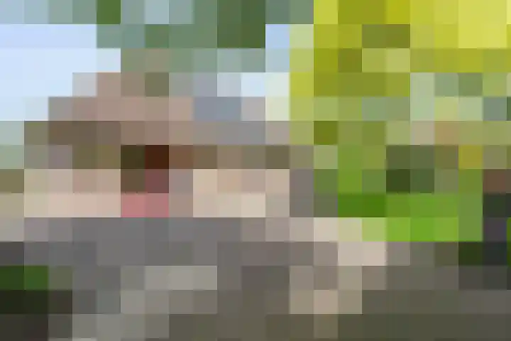 Scholtieskamp 7 Ruinerwold thumbnail 44