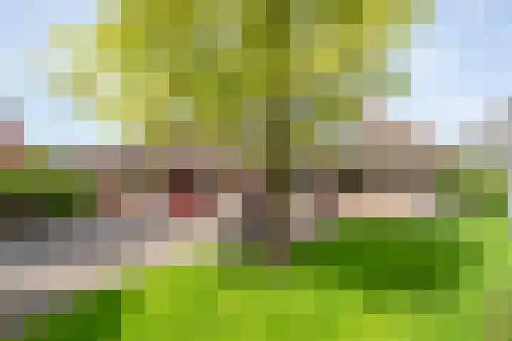 Scholtieskamp 7 Ruinerwold thumbnail 46