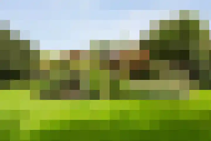 Scholtieskamp 7 Ruinerwold thumbnail 47