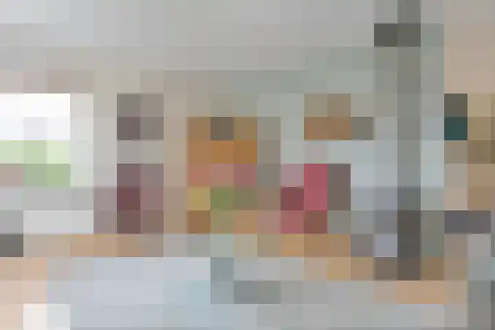Scholtieskamp 7 Ruinerwold thumbnail 8