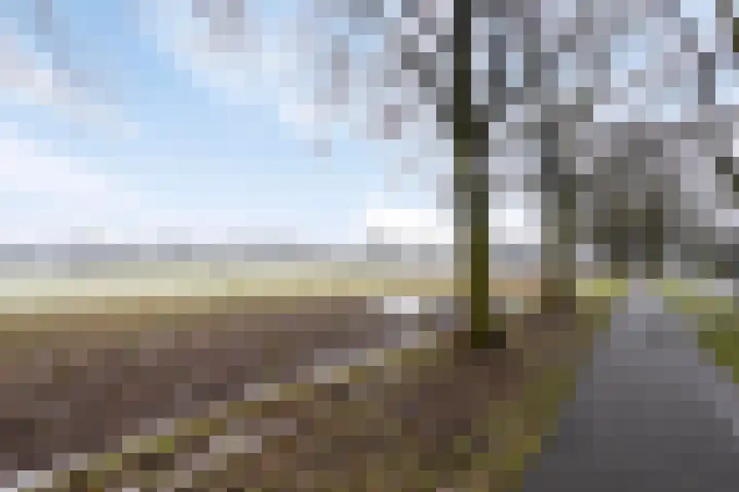 Scholtinkstraat 159 Losser thumbnail 39