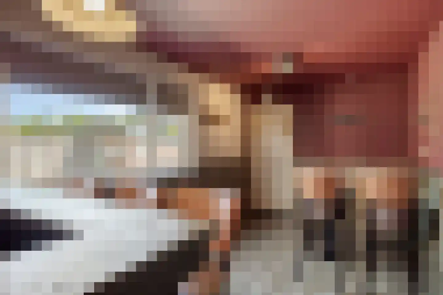 Scholtinkstraat 181 Losser thumbnail 17